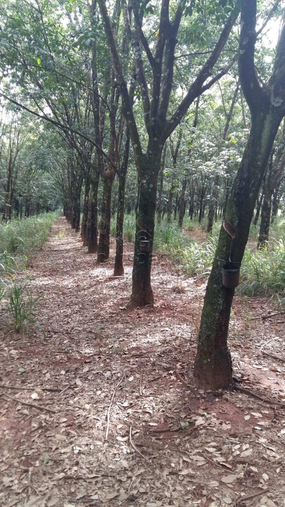Comprar Terreno / Área em Frutal apenas R$ 3.600.000,00 - Foto 3 Comprar Terreno / Área em Frutal apenas R$ 3.600.000,00 - Foto 3