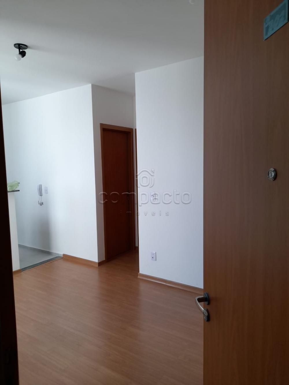 Alugar Apartamento / Padrão em São José do Rio Preto apenas R$ 900,00 - Foto 1 Alugar Apartamento / Padrão em São José do Rio Preto apenas R$ 900,00 - Foto 1