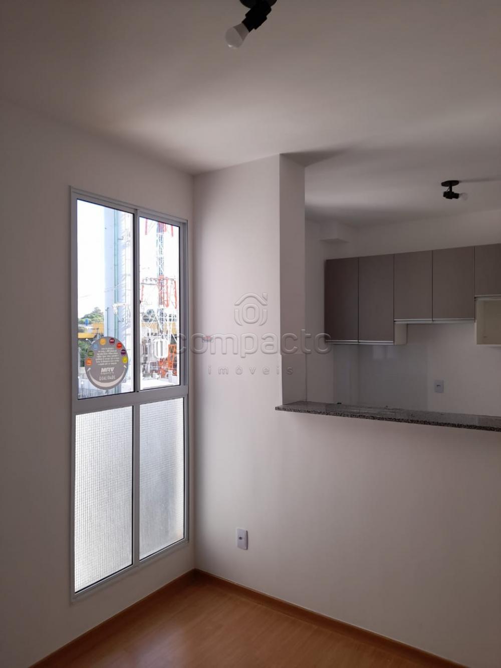 Alugar Apartamento / Padrão em São José do Rio Preto apenas R$ 900,00 - Foto 2 Alugar Apartamento / Padrão em São José do Rio Preto apenas R$ 900,00 - Foto 2