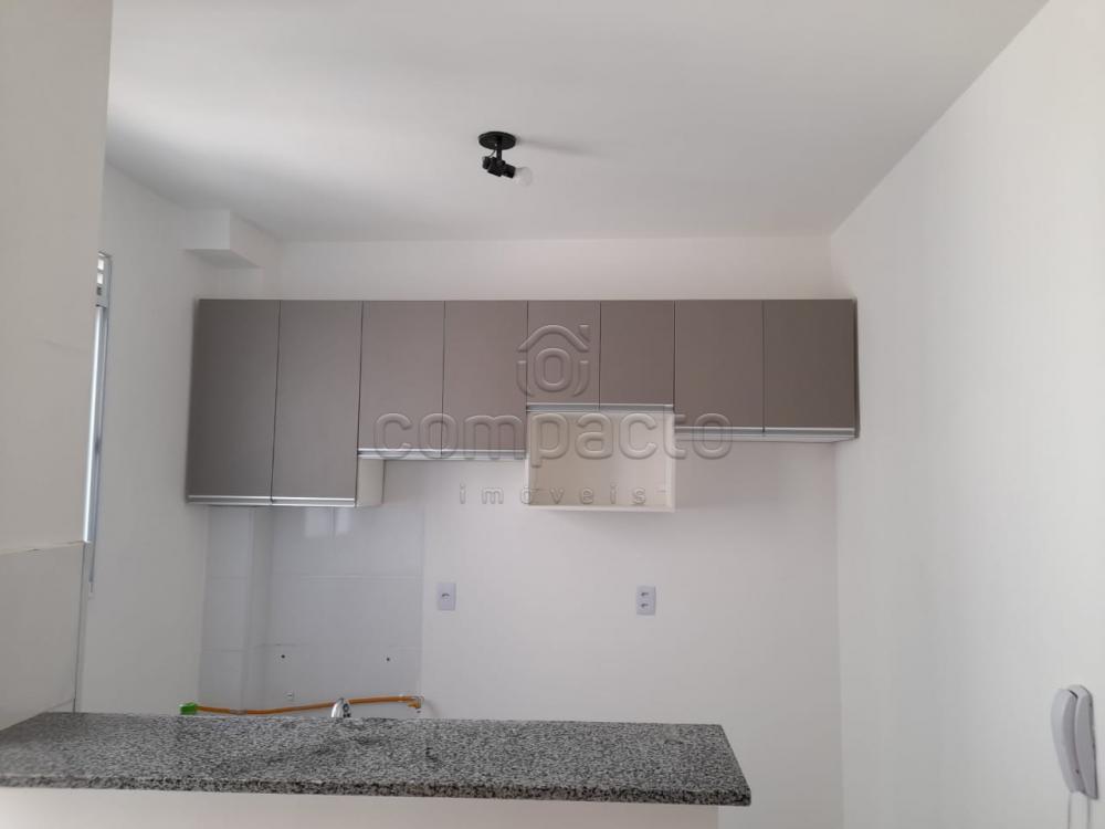 Alugar Apartamento / Padrão em São José do Rio Preto apenas R$ 900,00 - Foto 3 Alugar Apartamento / Padrão em São José do Rio Preto apenas R$ 900,00 - Foto 3