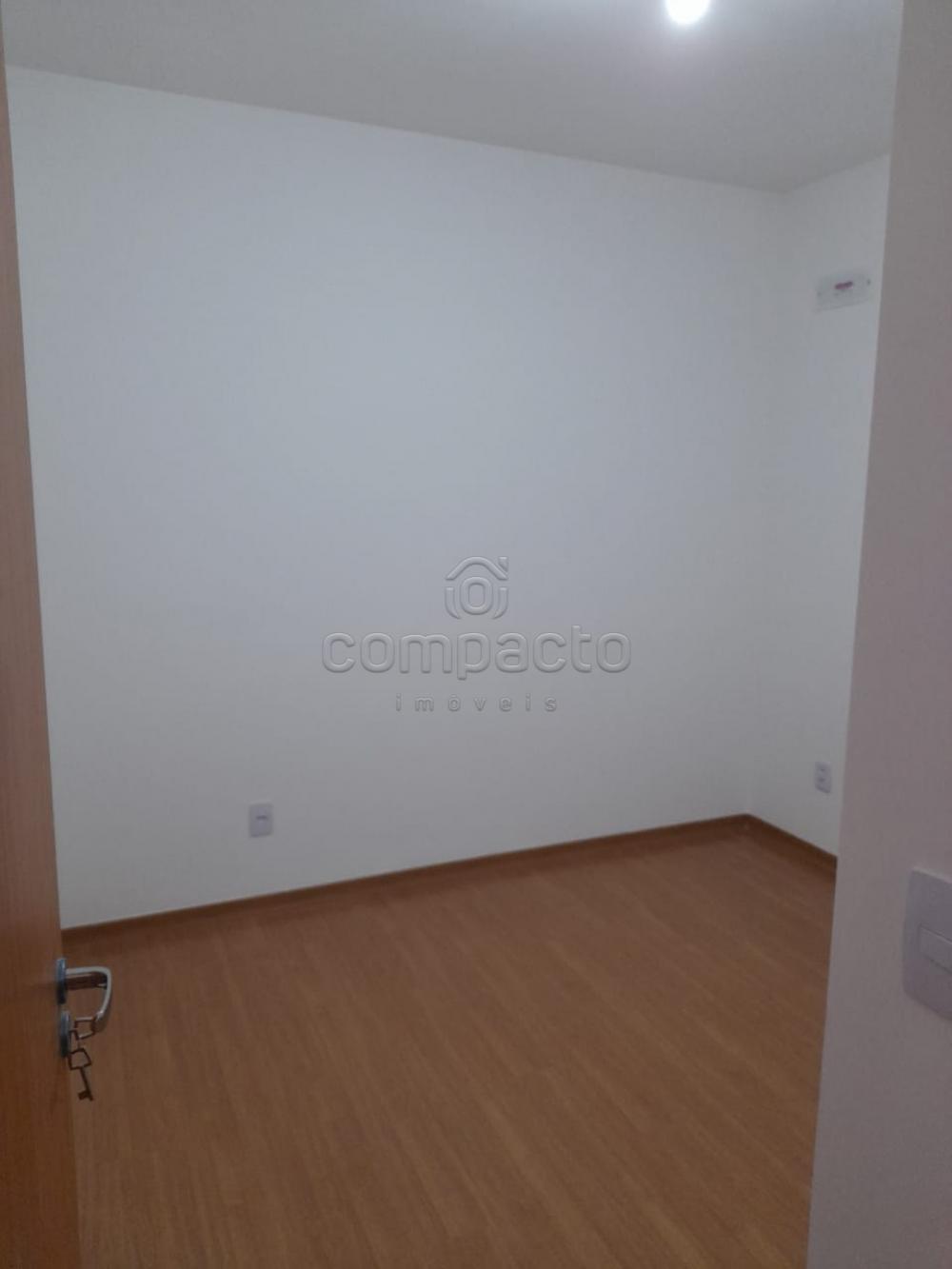 Alugar Apartamento / Padrão em São José do Rio Preto apenas R$ 900,00 - Foto 9 Alugar Apartamento / Padrão em São José do Rio Preto apenas R$ 900,00 - Foto 9