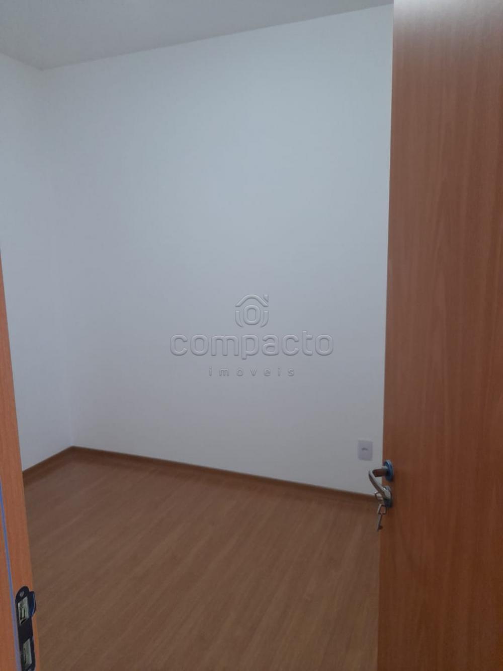 Alugar Apartamento / Padrão em São José do Rio Preto apenas R$ 900,00 - Foto 15 Alugar Apartamento / Padrão em São José do Rio Preto apenas R$ 900,00 - Foto 15
