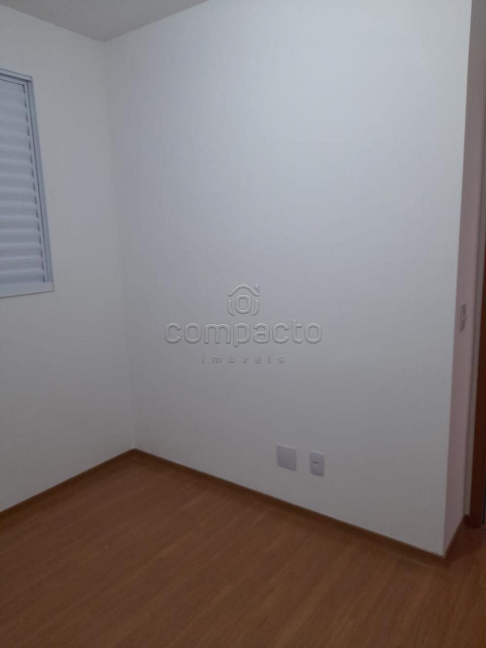 Alugar Apartamento / Padrão em São José do Rio Preto apenas R$ 900,00 - Foto 17 Alugar Apartamento / Padrão em São José do Rio Preto apenas R$ 900,00 - Foto 17