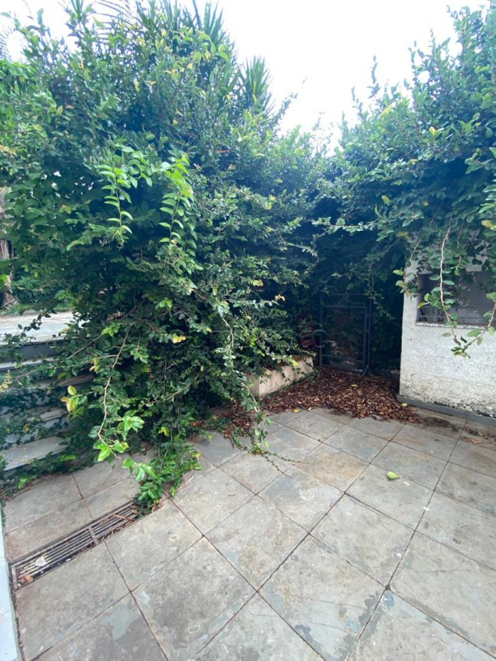 Alugar Casa / Padrão em São José do Rio Preto apenas R$ 6.000,00 - Foto 9 Alugar Casa / Padrão em São José do Rio Preto apenas R$ 6.000,00 - Foto 9