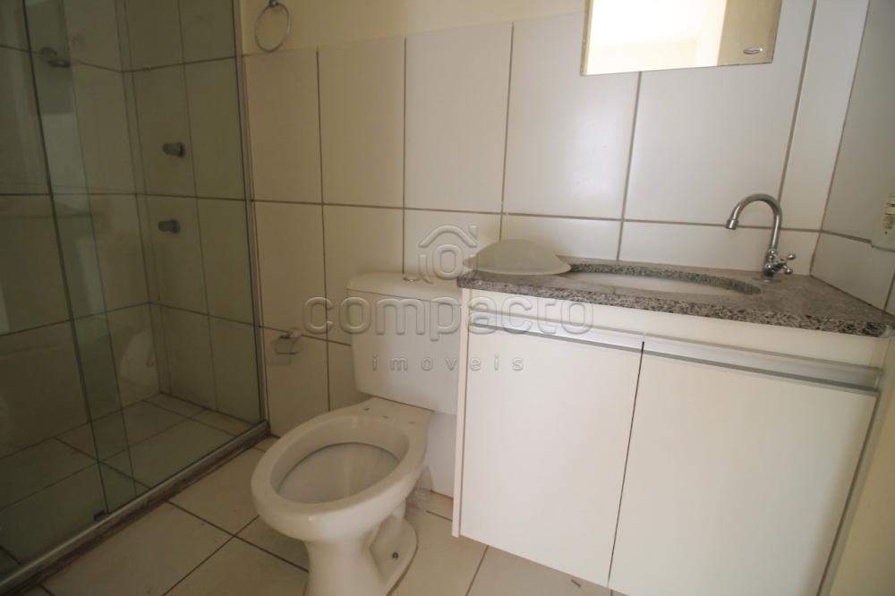Alugar Apartamento / Padrão em São José do Rio Preto apenas R$ 1.000,00 - Foto 11 Alugar Apartamento / Padrão em São José do Rio Preto apenas R$ 1.000,00 - Foto 11
