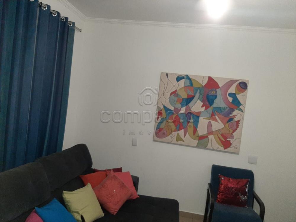 Comprar Casa / Padrão em São José do Rio Preto apenas R$ 450.000,00 - Foto 5 Comprar Casa / Padrão em São José do Rio Preto apenas R$ 450.000,00 - Foto 5