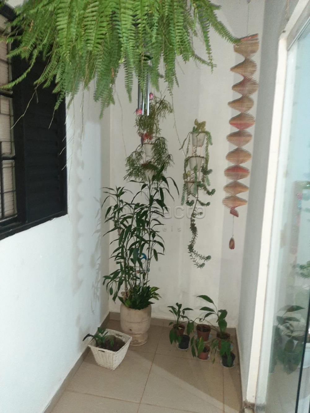 Comprar Casa / Padrão em São José do Rio Preto apenas R$ 450.000,00 - Foto 29 Comprar Casa / Padrão em São José do Rio Preto apenas R$ 450.000,00 - Foto 29