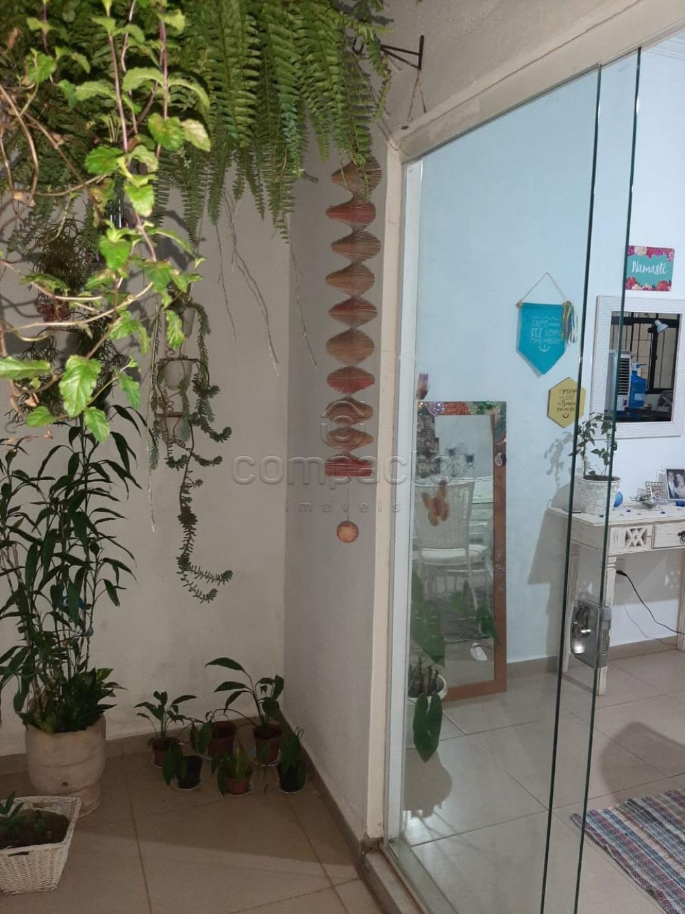 Comprar Casa / Padrão em São José do Rio Preto apenas R$ 450.000,00 - Foto 31 Comprar Casa / Padrão em São José do Rio Preto apenas R$ 450.000,00 - Foto 31