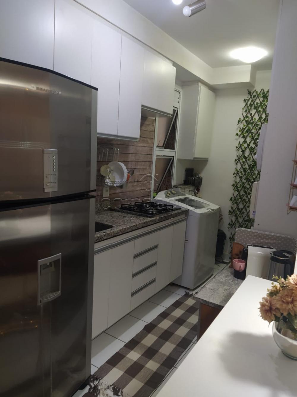 Comprar Apartamento / Padrão em São José do Rio Preto apenas R$ 370.000,00 - Foto 24 Comprar Apartamento / Padrão em São José do Rio Preto apenas R$ 370.000,00 - Foto 24