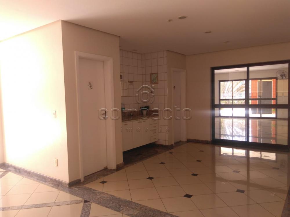 Alugar Apartamento / Padrão em São José do Rio Preto apenas R$ 1.500,00 - Foto 17 Alugar Apartamento / Padrão em São José do Rio Preto apenas R$ 1.500,00 - Foto 17