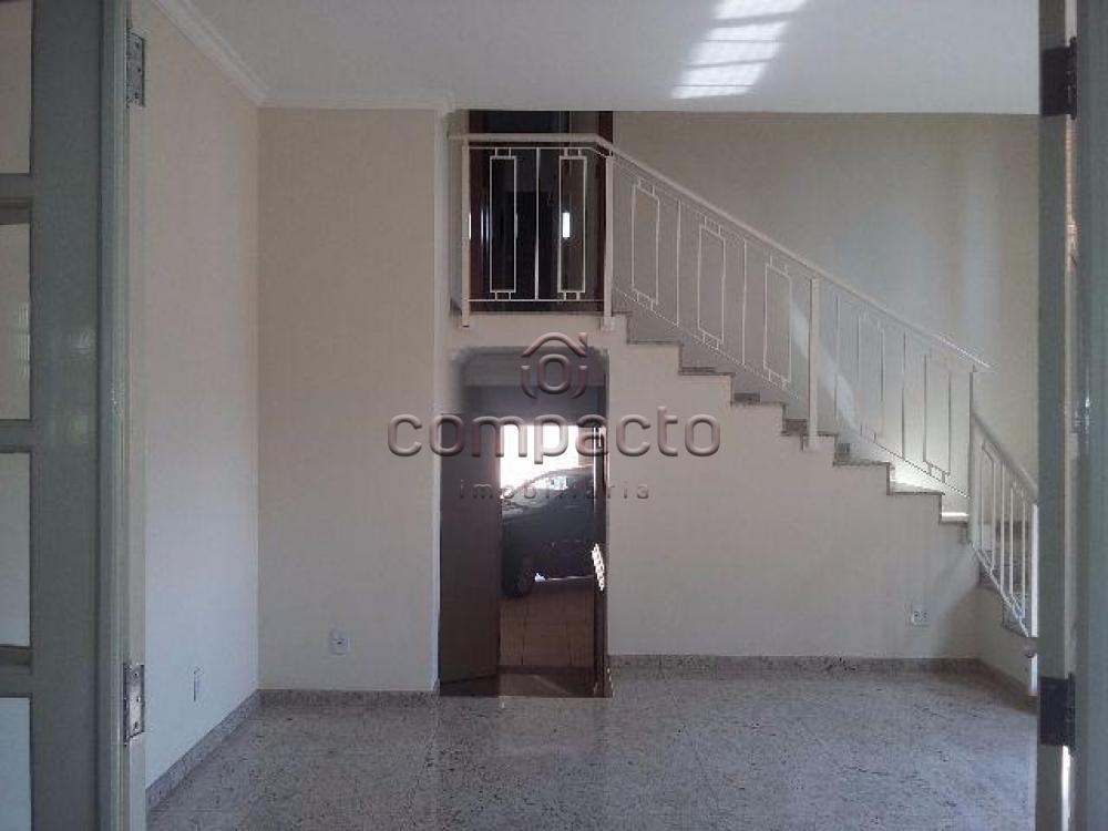 Alugar Comercial / Casa em São José do Rio Preto R$ 6.000,00 - Foto 4