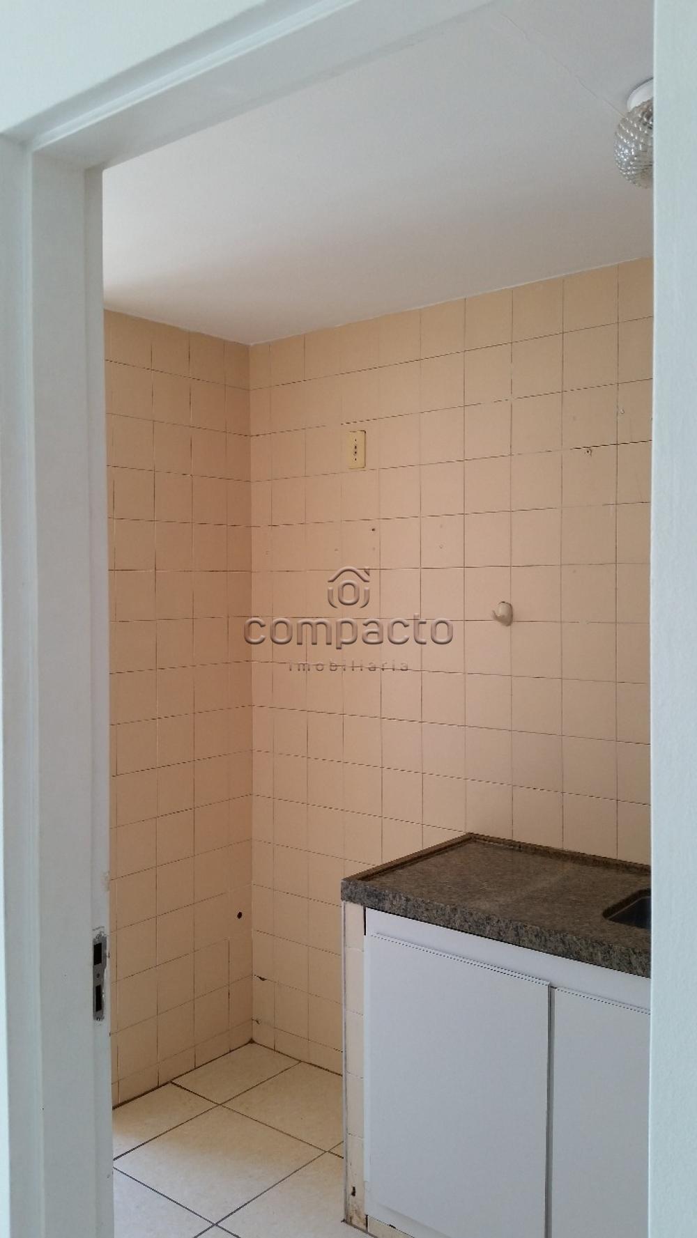Alugar Apartamento / Padrão em São José do Rio Preto R$ 500,00 - Foto 3