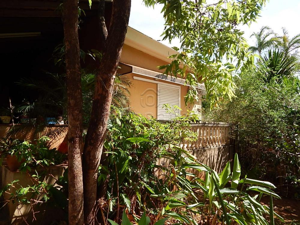 Rural - Chácara - Estância Jóckei Club - São José do Rio Preto R