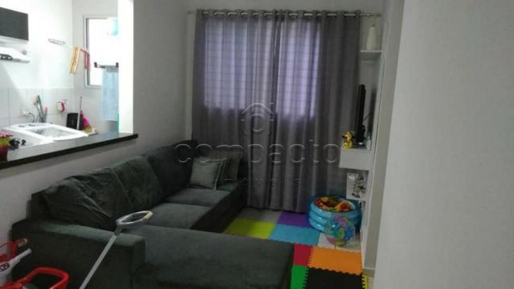 Parque Rio das Pedras, Apartamento - Padrão - Residencial Ana Célia - São  José do Rio Preto R$ 145.000,00. Cód.: 12362