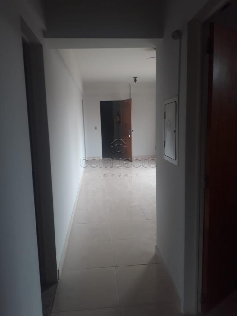 Alugar Apartamento / Padrão em São José do Rio Preto R$ 1.250,00 - Foto 1