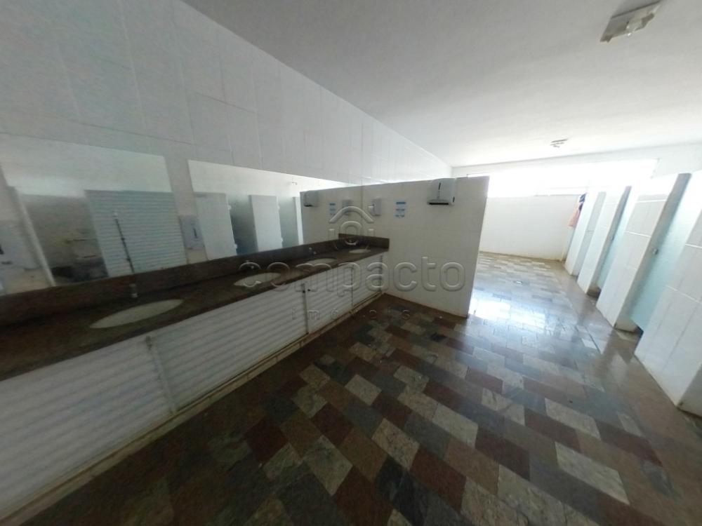 Alugar Comercial / Salão em São José do Rio Preto R$ 25.000,00 - Foto 5