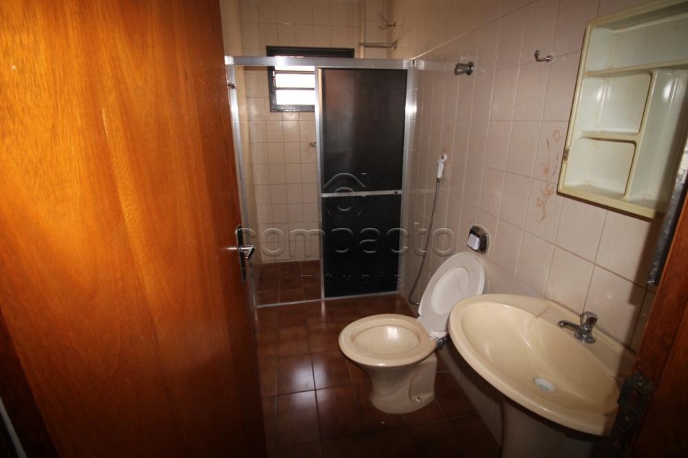 Alugar Apartamento / Padrão em São José do Rio Preto R$ 1.400,00 - Foto 10