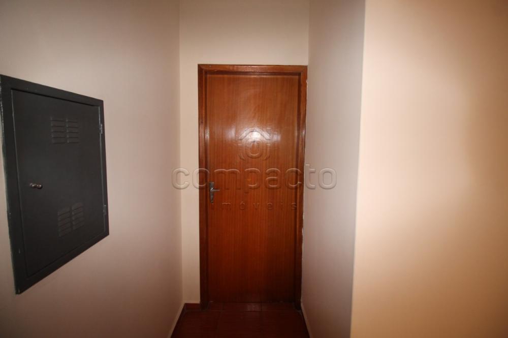 Alugar Apartamento / Padrão em São José do Rio Preto R$ 1.400,00 - Foto 18