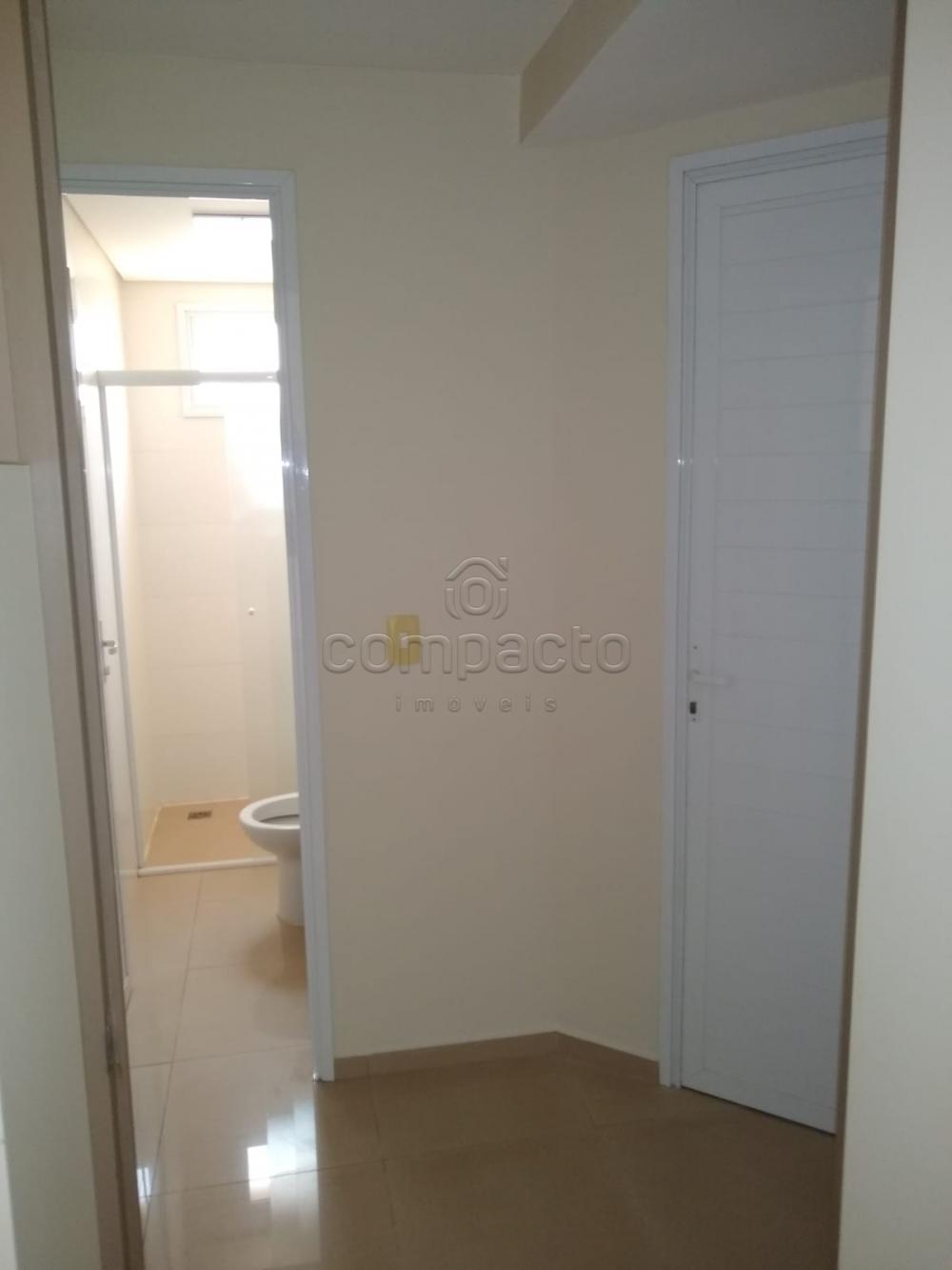 Alugar Apartamento / Padrão em São José do Rio Preto R$ 2.350,00 - Foto 4