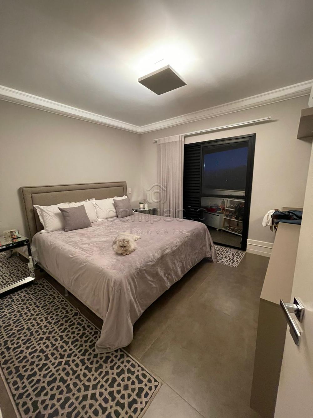 Alugar Apartamento / Padrão em São José do Rio Preto R$ 3.800,00 - Foto 5