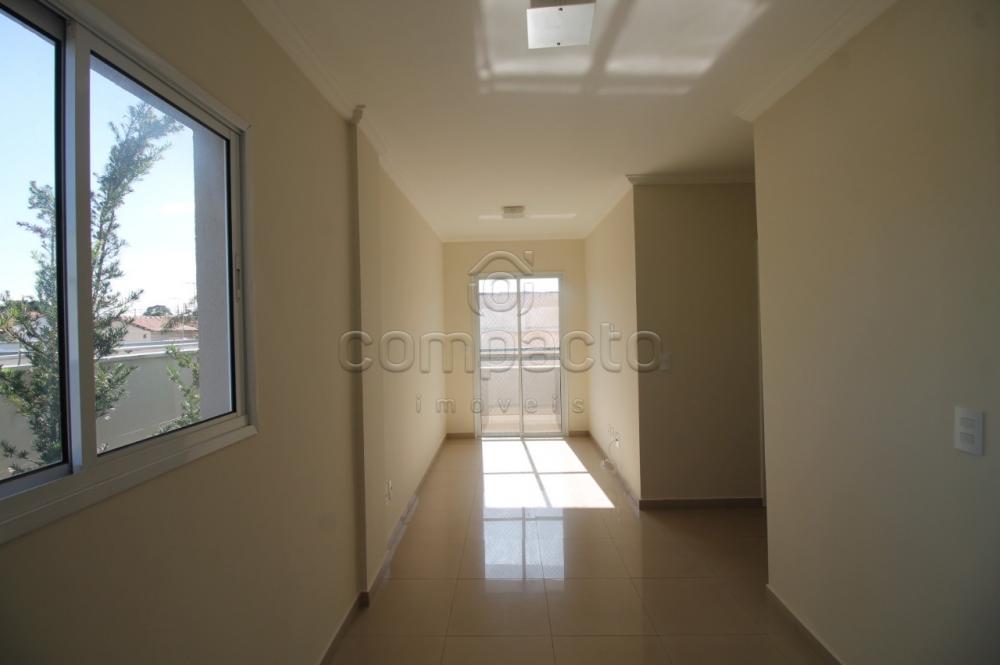Alugar Apartamento / Padrão em São José do Rio Preto R$ 1.400,00 - Foto 1