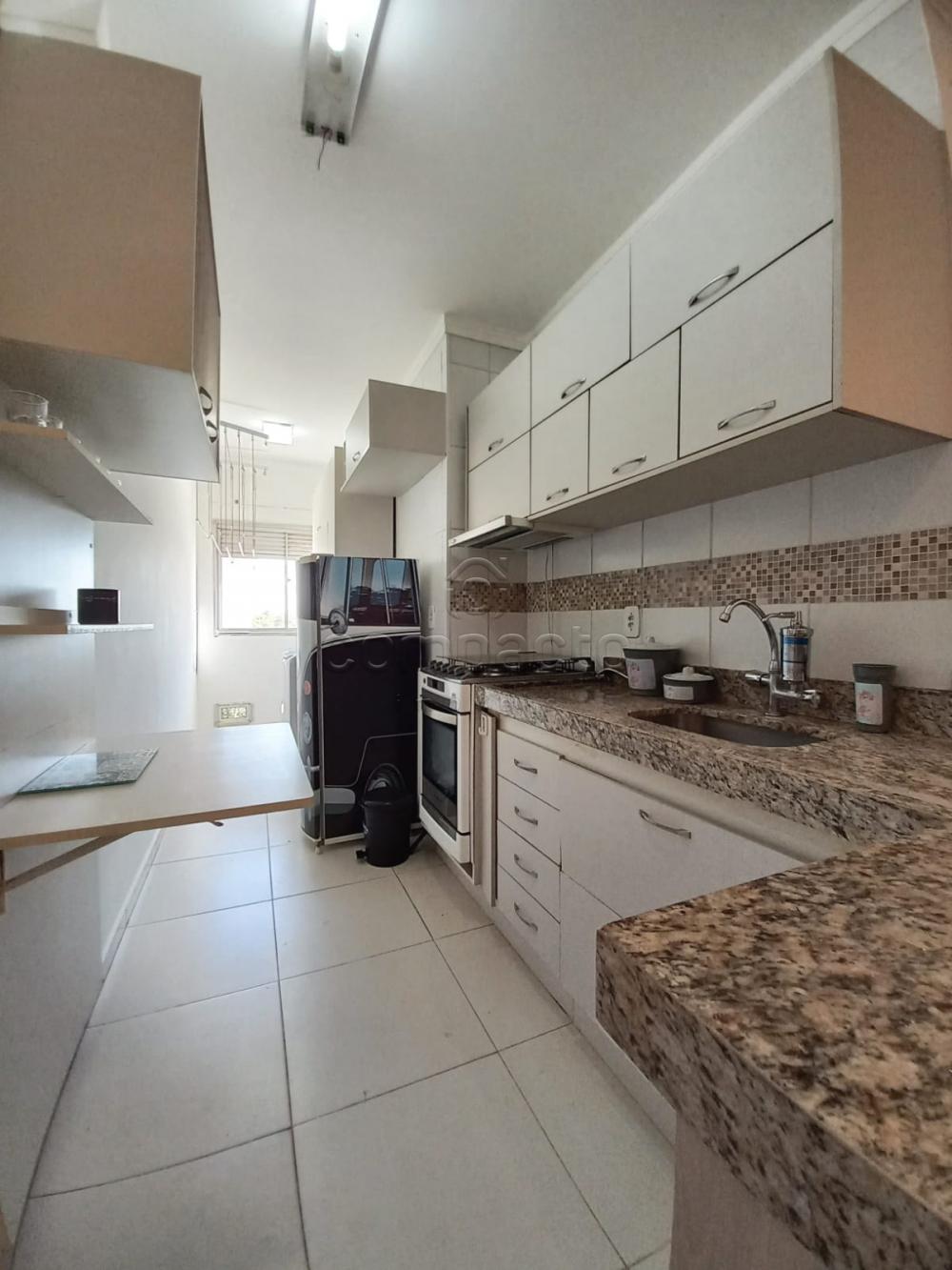 Alugar Apartamento / Padrão em São José do Rio Preto R$ 1.390,00 - Foto 7