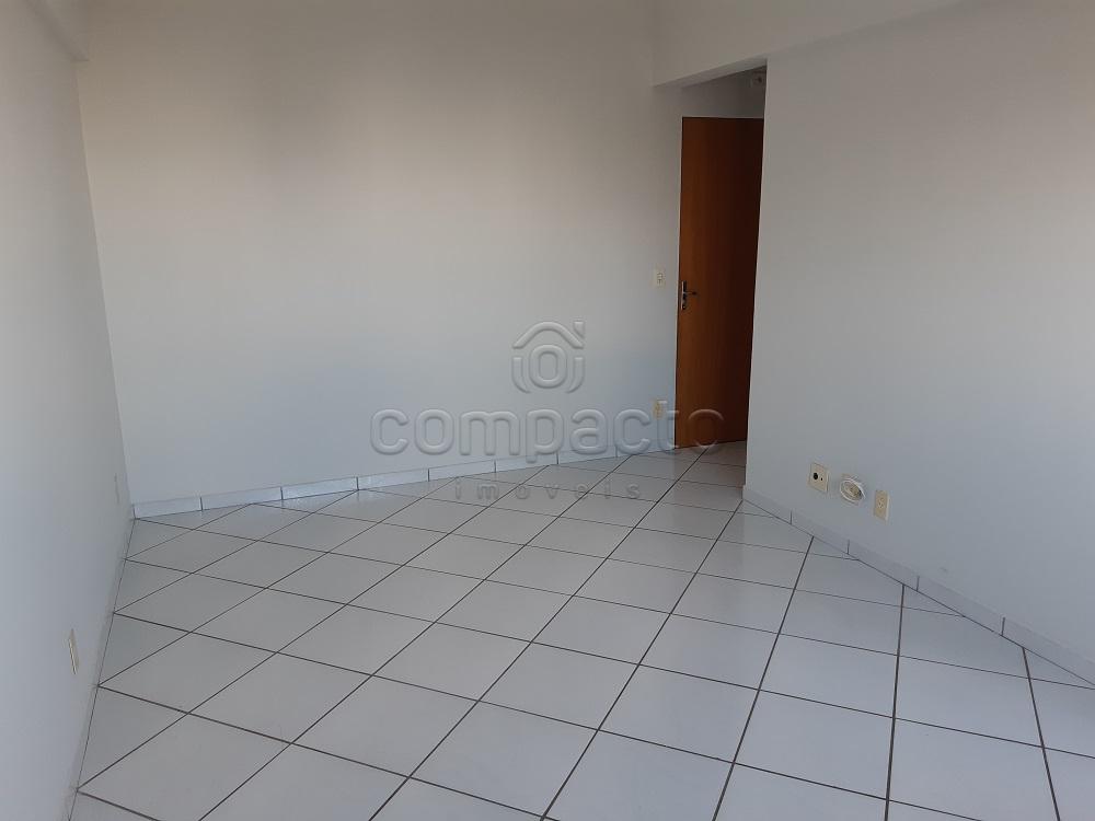 Alugar Apartamento / Padrão em São José do Rio Preto R$ 780,00 - Foto 1