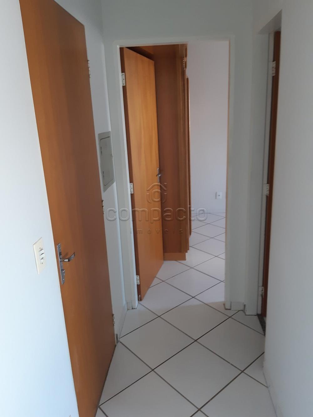 Alugar Apartamento / Padrão em São José do Rio Preto R$ 780,00 - Foto 2