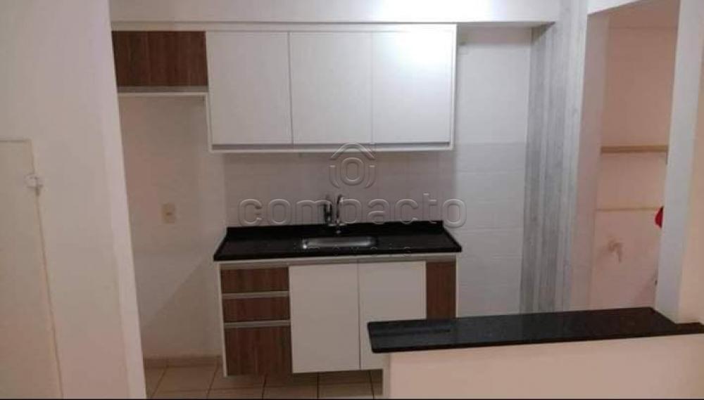 Alugar Apartamento / Padrão em São José do Rio Preto R$ 1.250,00 - Foto 4