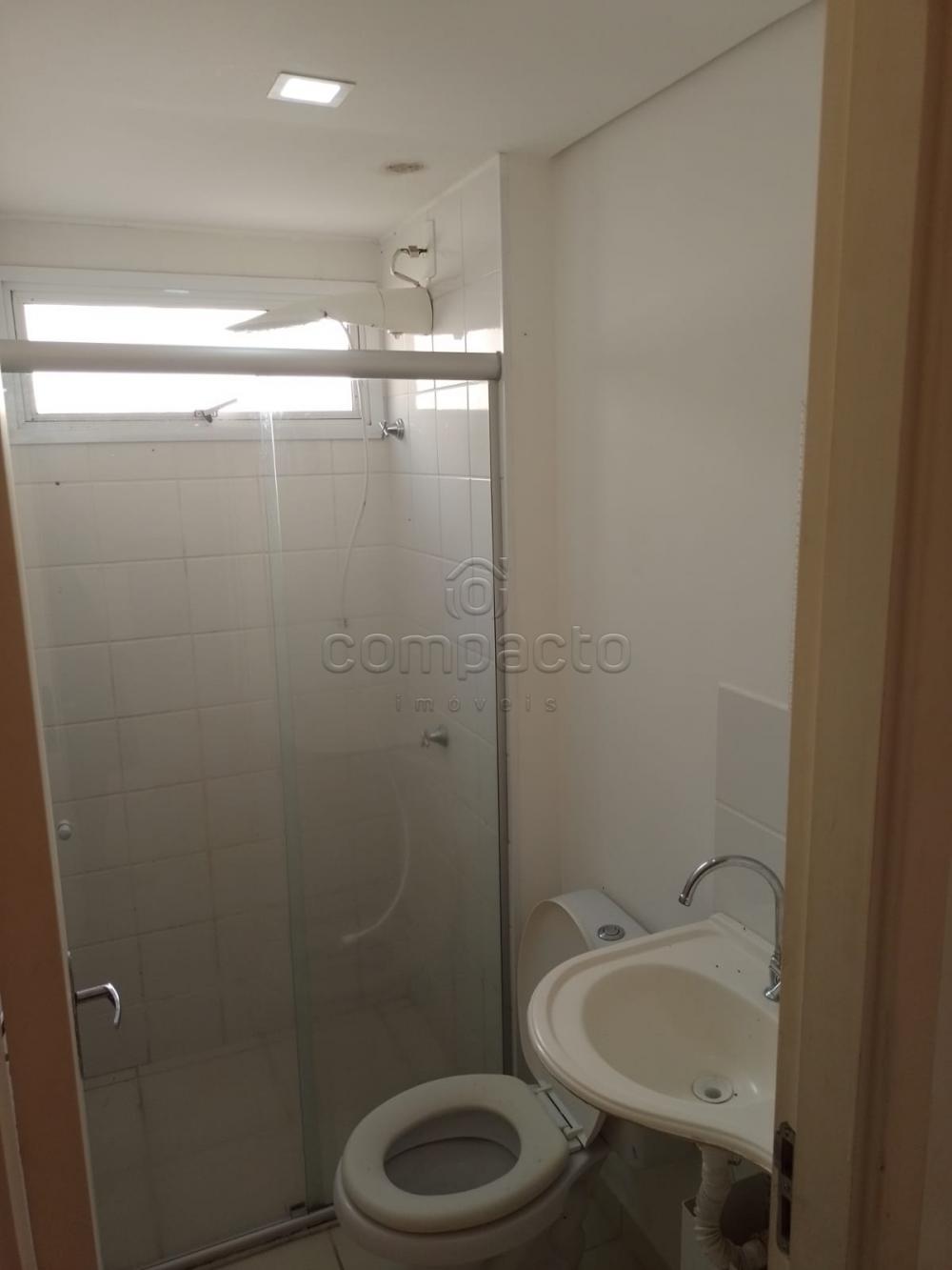 Alugar Apartamento / Padrão em São José do Rio Preto R$ 1.250,00 - Foto 8