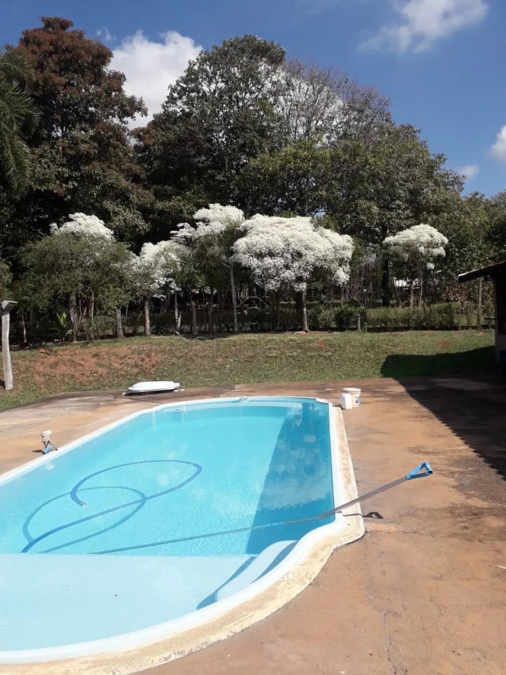 Rural - Chácara - Estância Jóckei Club - São José do Rio Preto R