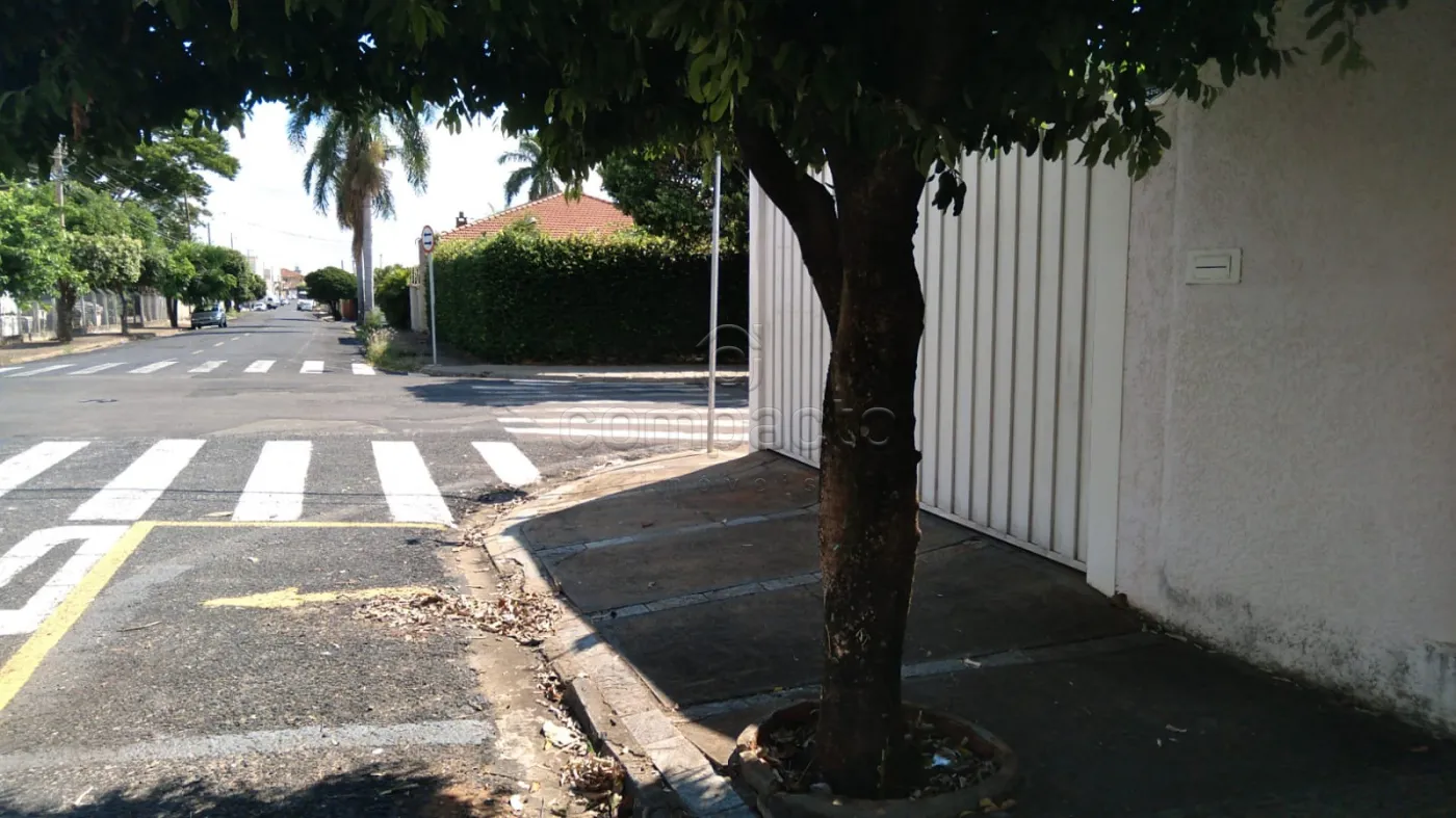 Alugar Casa / Padrão em São José do Rio Preto R$ 3.500,00 - Foto 3