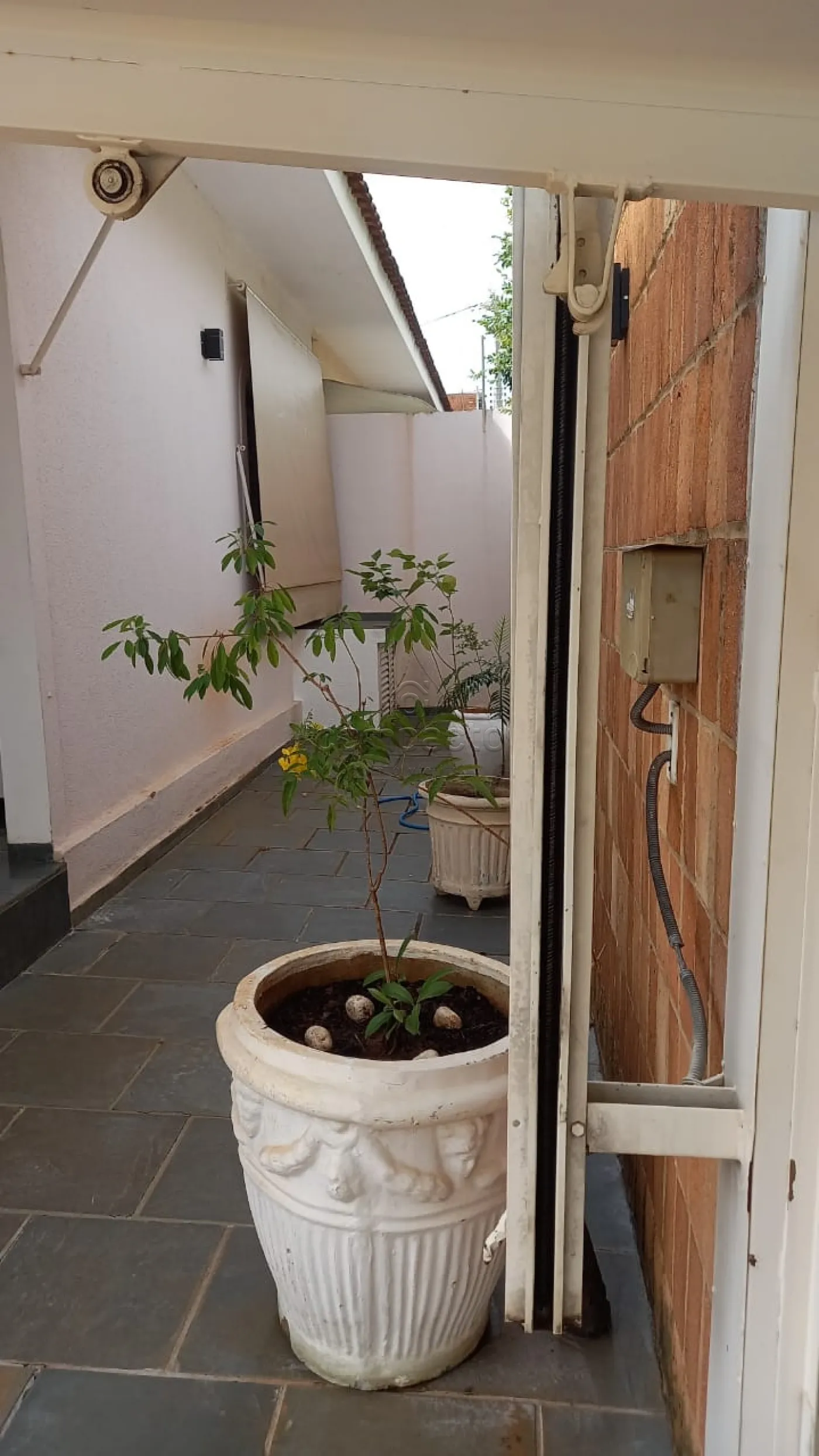 Alugar Casa / Padrão em São José do Rio Preto R$ 3.500,00 - Foto 23