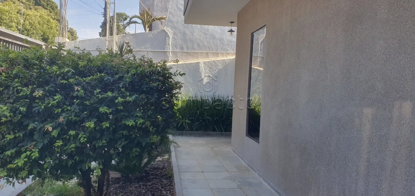 Alugar Comercial / Casa em São José do Rio Preto R$ 5.200,00 - Foto 4
