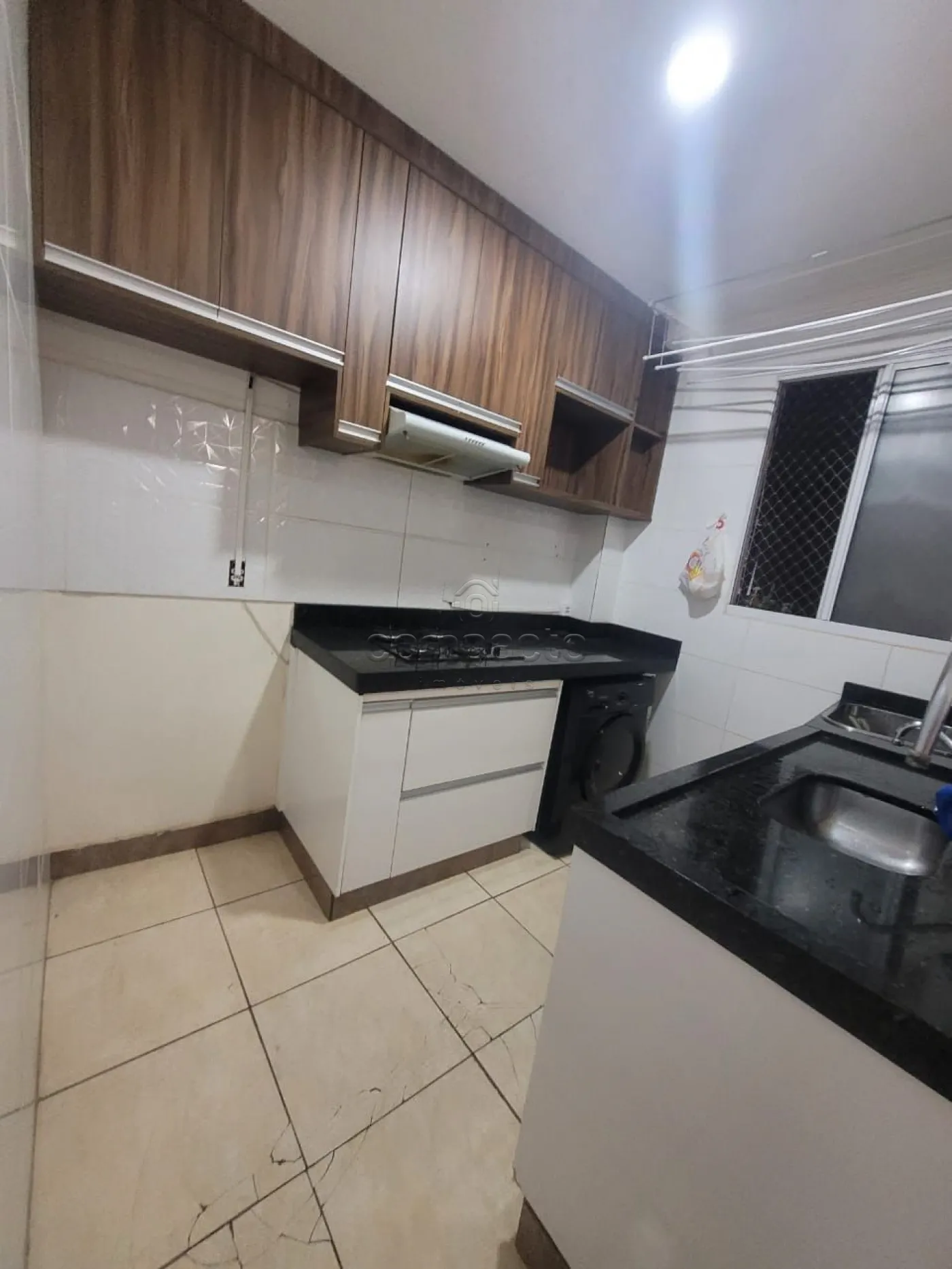 Alugar Apartamento / Padrão em São José do Rio Preto R$ 1.200,00 - Foto 3