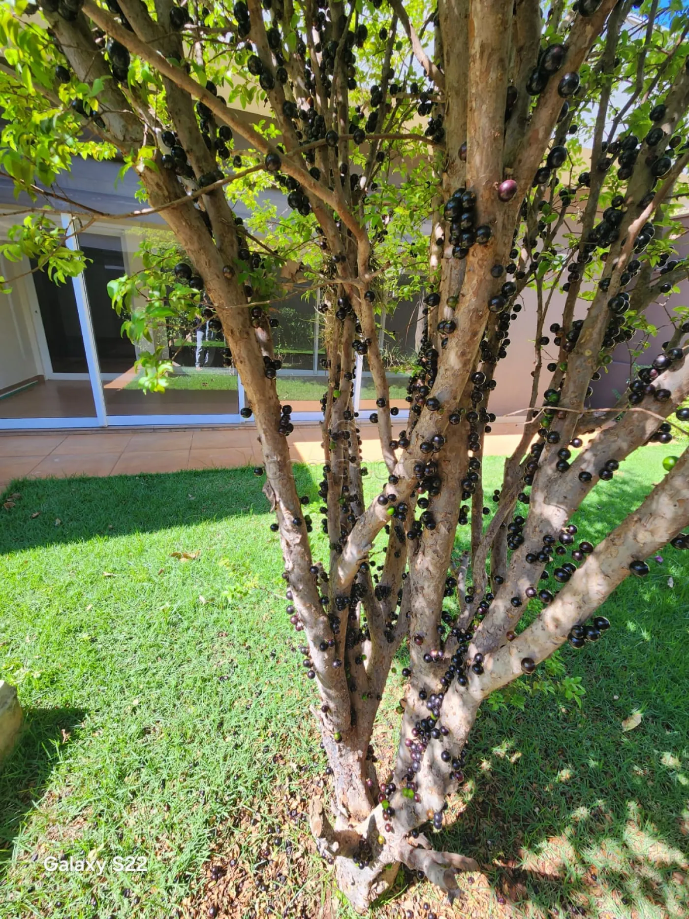 Alugar Casa / Condomínio em São José do Rio Preto R$ 15.000,00 - Foto 59