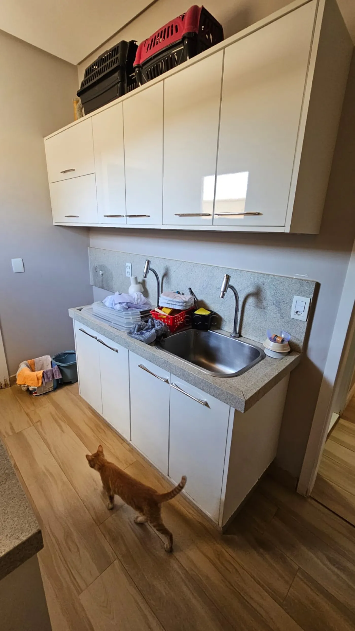 Comprar Casa / Condomínio em São José do Rio Preto R$ 1.650.000,00 - Foto 22