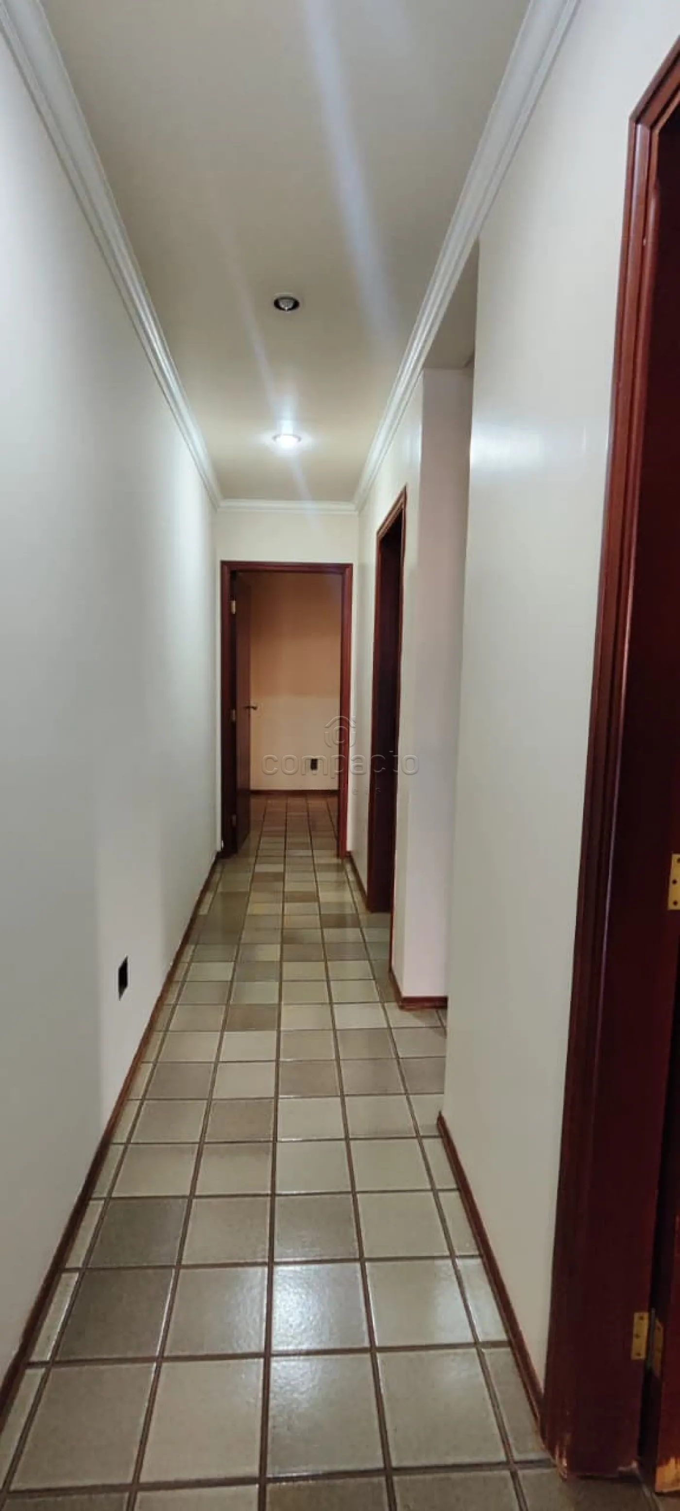 Alugar Casa / Padrão em São José do Rio Preto R$ 4.000,00 - Foto 6