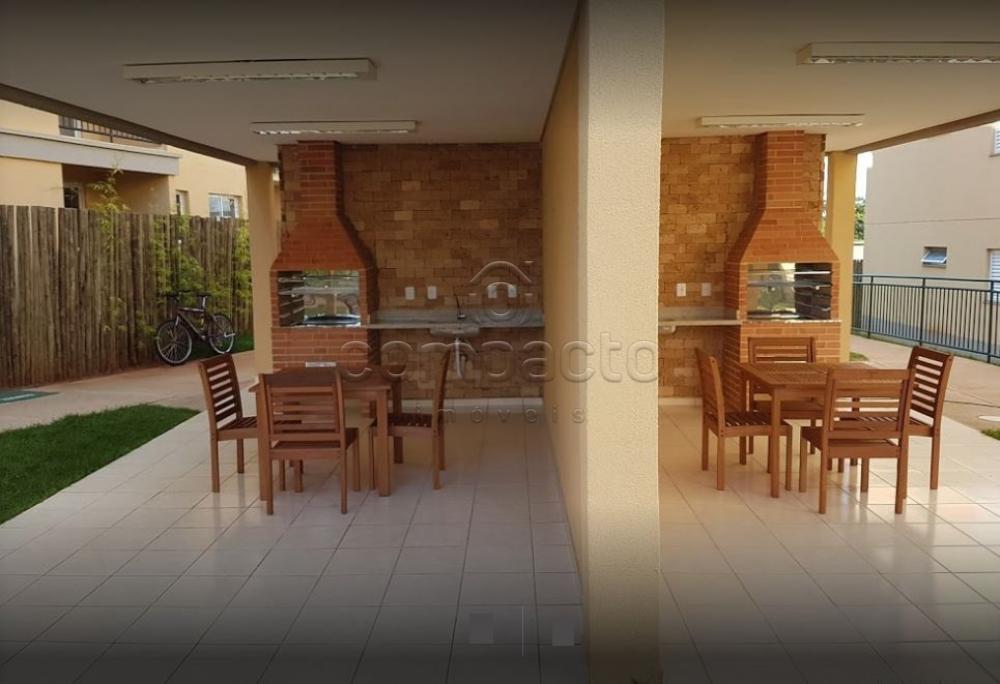 Alugar Apartamento / Padrão em São José do Rio Preto R$ 1.250,00 - Foto 13