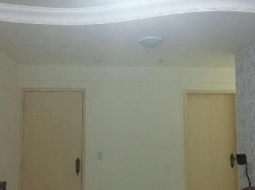 imagem 1 - Apartamento - Padrão imagem 1 - Apartamento - Padrão