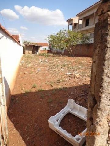imagem 1 - Terreno - Padrão imagem 1 - Terreno - Padrão