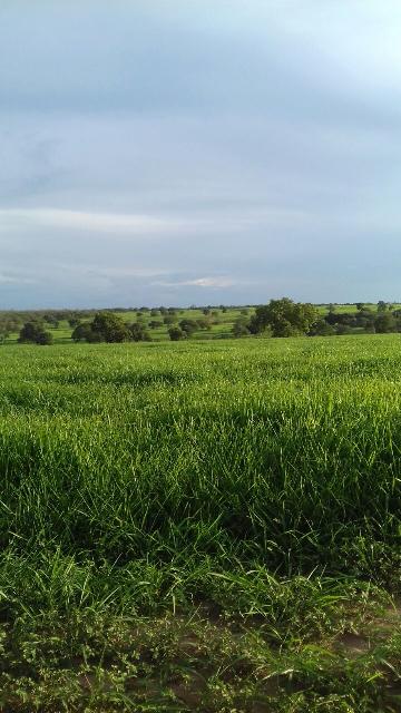 imagem 1 - Terreno - Padrão imagem 1 - Terreno - Padrão