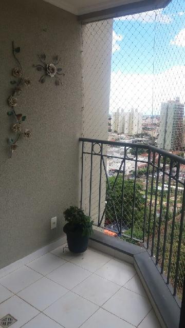 imagem 4 - Apartamento - Padrão imagem 4 - Apartamento - Padrão