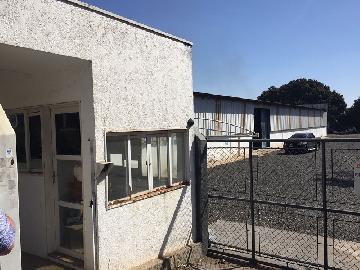 imagem 3 - Comercial - Barracão imagem 3 - Comercial - Barracão