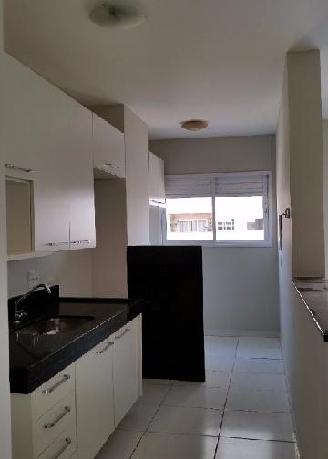 imagem 4 - Apartamento - Padrão imagem 4 - Apartamento - Padrão