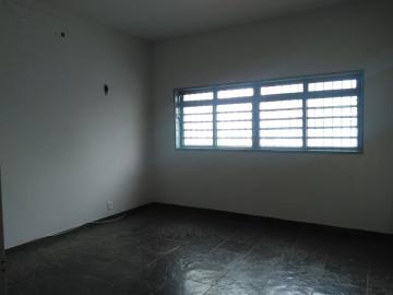 imagem 5 - Comercial - Casa imagem 5 - Comercial - Casa
