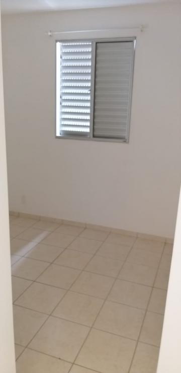 imagem 3 - Apartamento - Padrão imagem 3 - Apartamento - Padrão