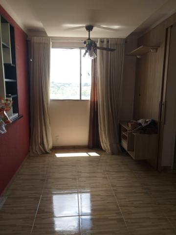 imagem 3 - Apartamento - Padrão imagem 3 - Apartamento - Padrão