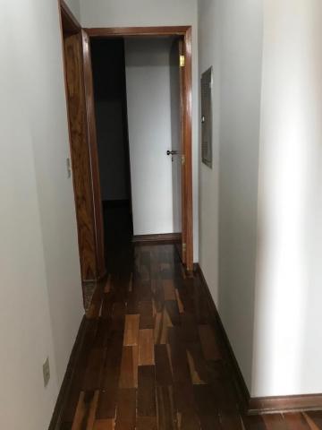 imagem 3 - Apartamento - Padrão imagem 3 - Apartamento - Padrão