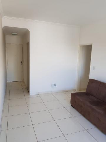 imagem 3 - Apartamento - Padrão imagem 3 - Apartamento - Padrão